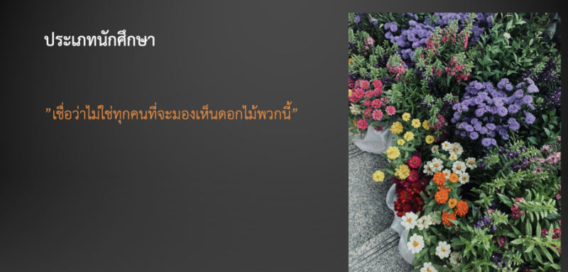 โครงการประกวดภาพถ่ายในหัวข้อ “สวนดุสิตในมุมสวยที่เพื่อนไม่เคยเห็น”